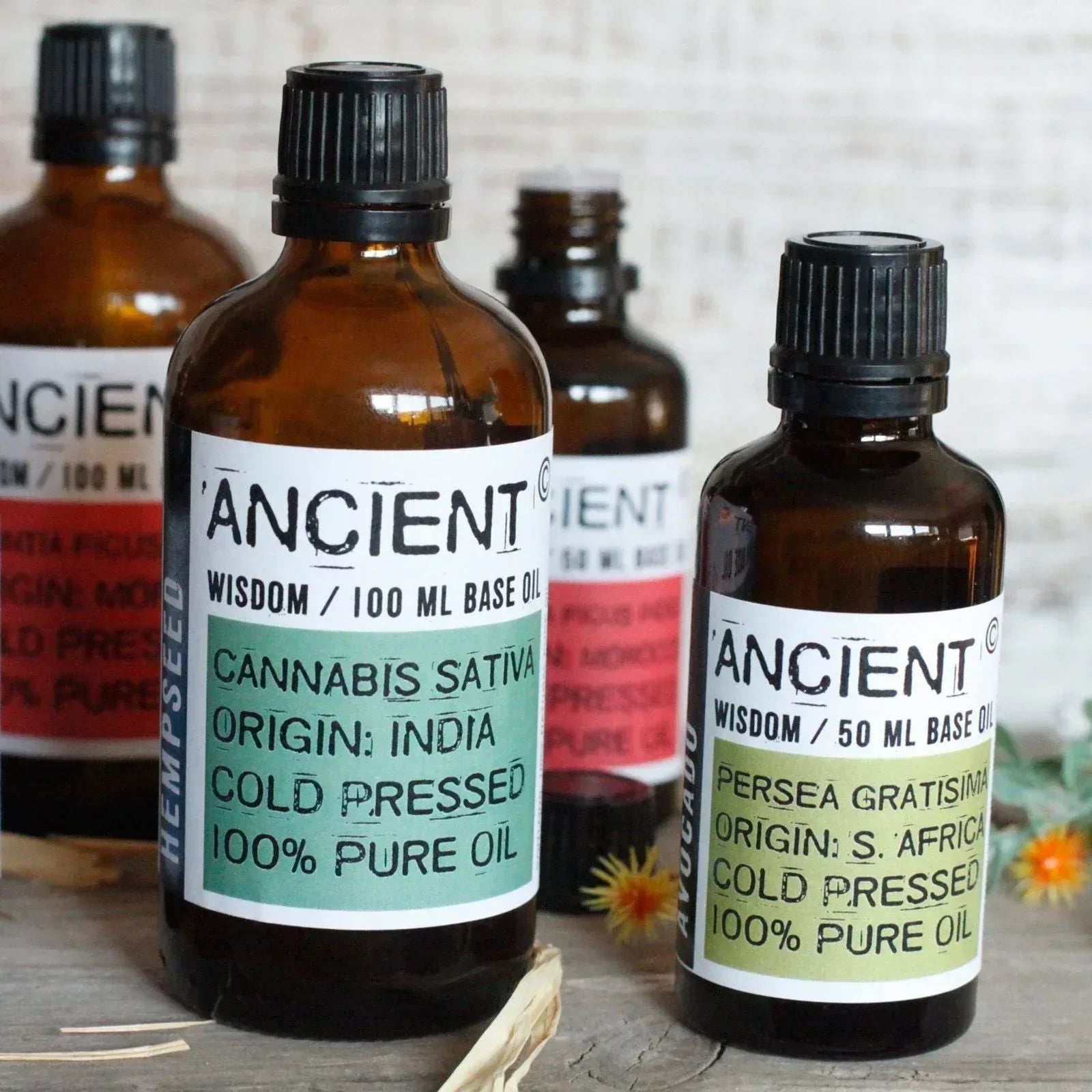 Carrier Base Oils - Bobobiy