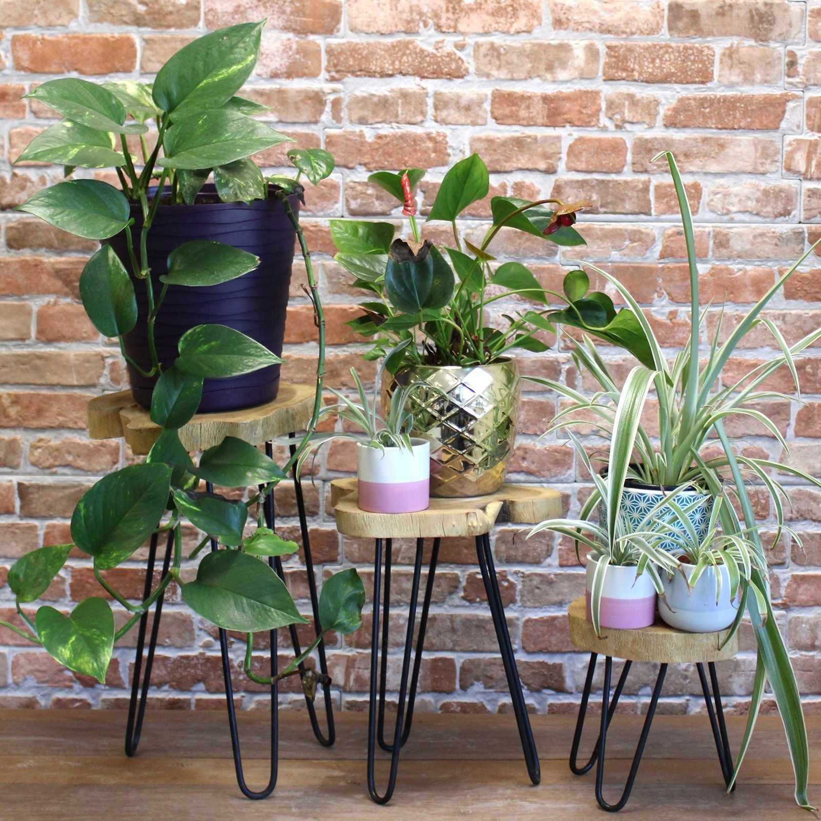 Wooden Plant Stands