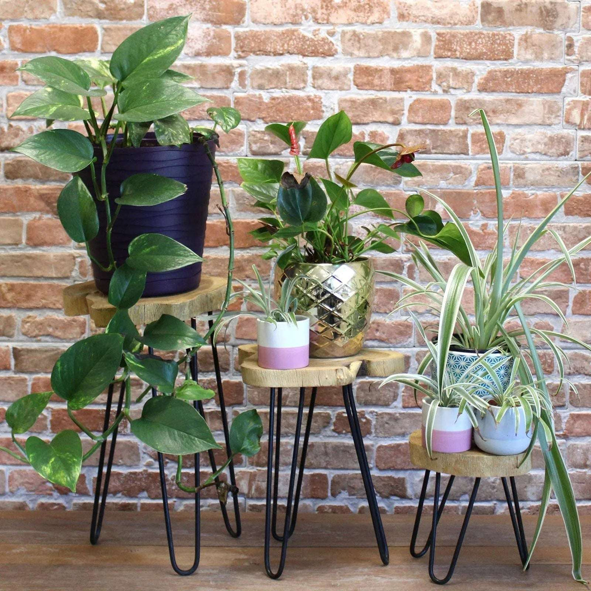 Wooden Plant Stands - Bobobiy