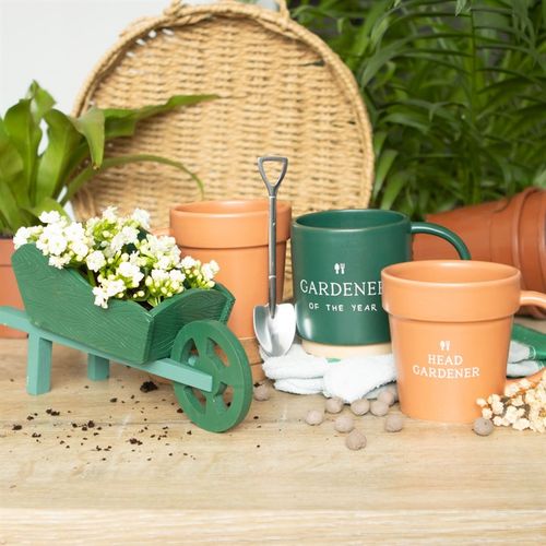 All Garden