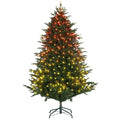 0aEb24197efee2608 - Bobobiy