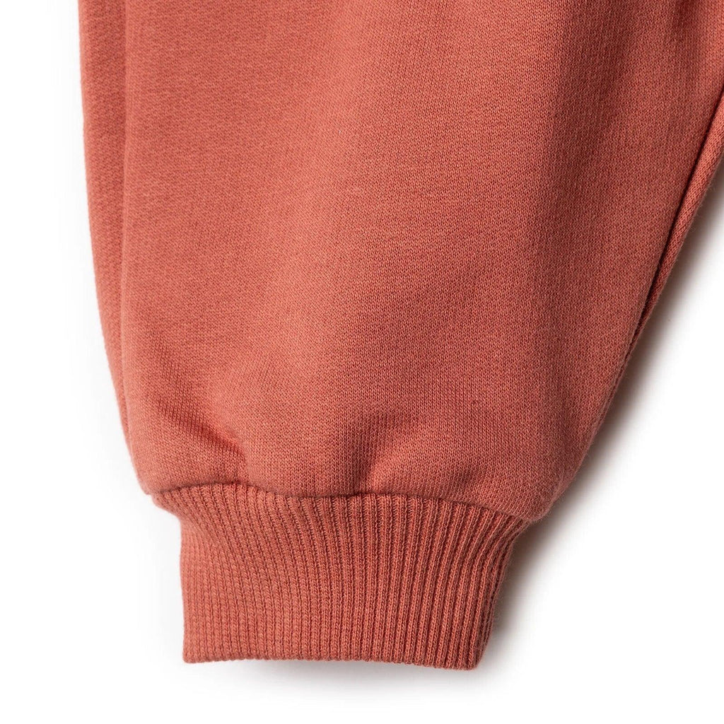 HelloBaby Jogging Set - Brown - Bobobiy