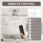 Ceiling fan with light, silver body, 5 beech wood-effect blades and handheld remote