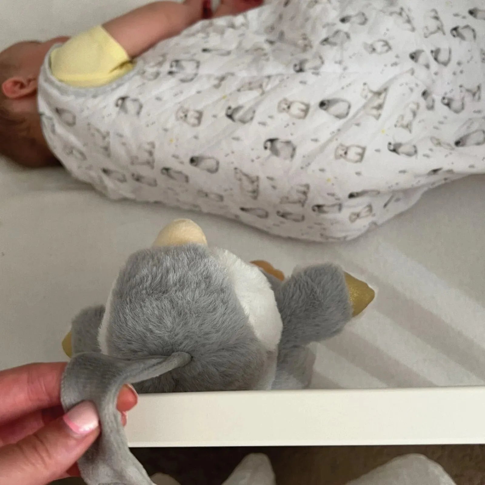 Nuby Penguin Sleep Aid with Cry Sensor