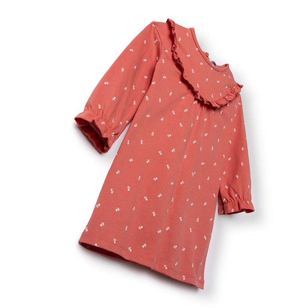 HelloBaby Wintrt Cherry Dress - Coral Printed