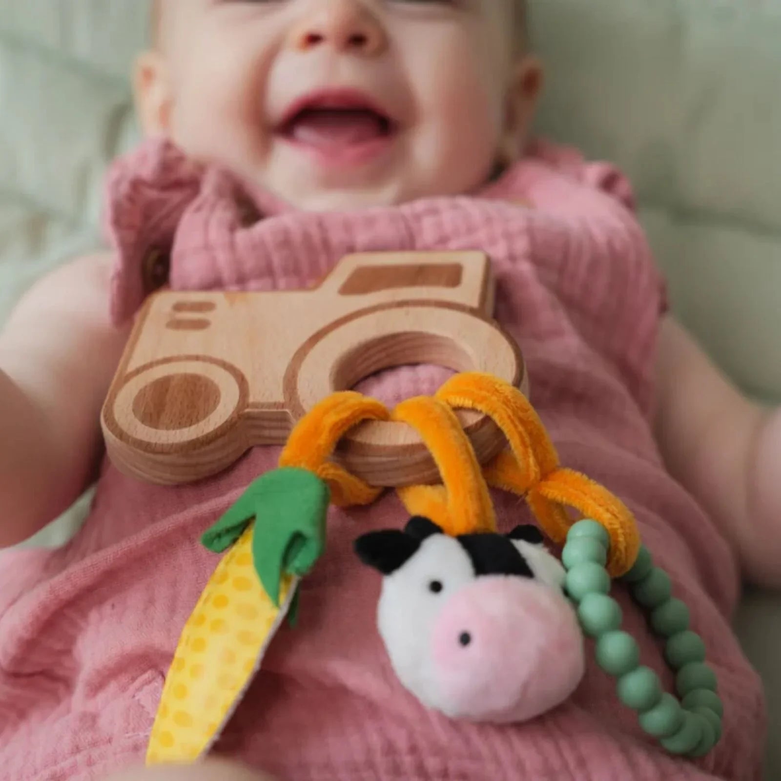 Little Big Friends Wooden Rattle - Farm