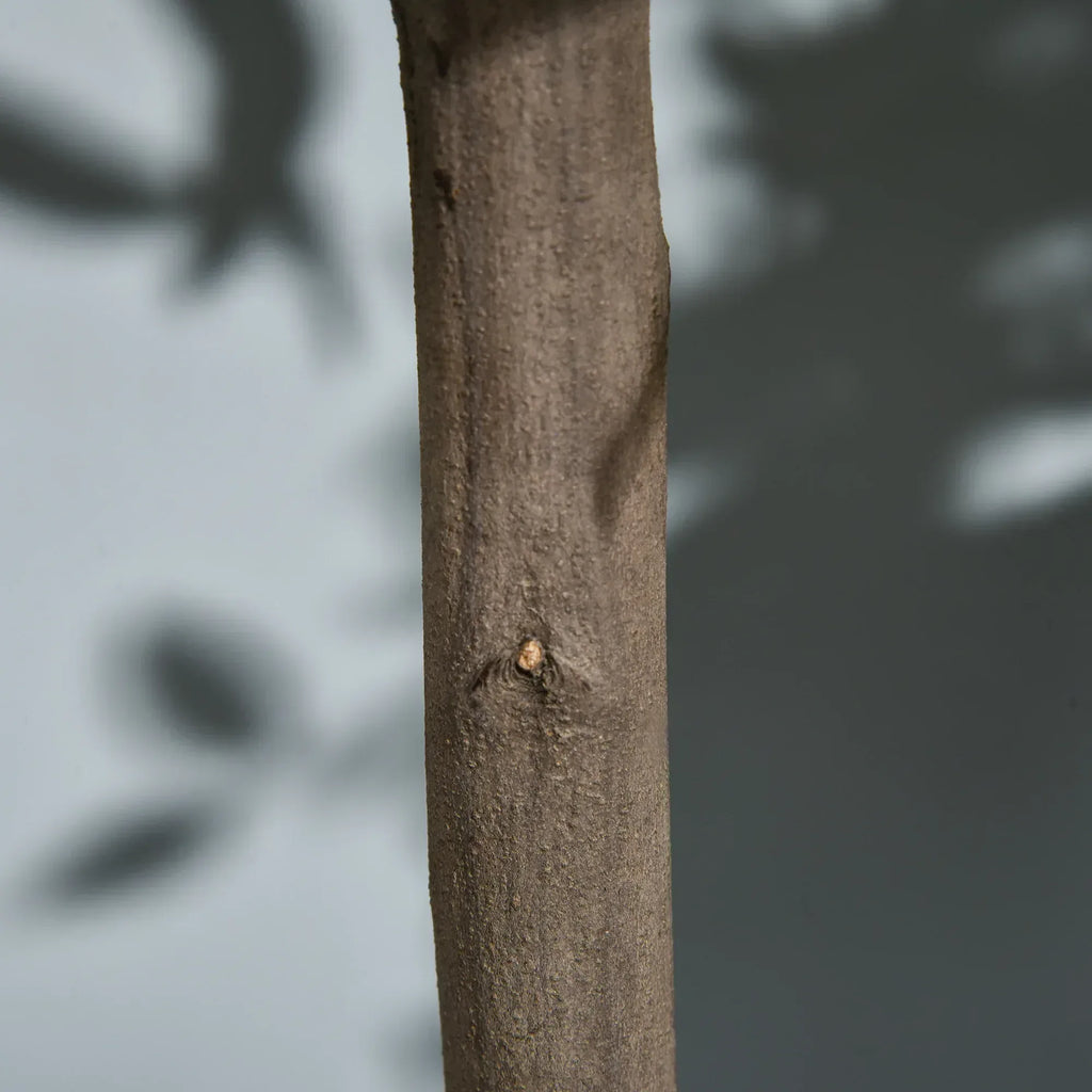 1Ge1ac19495b1866b - Bobobiy
