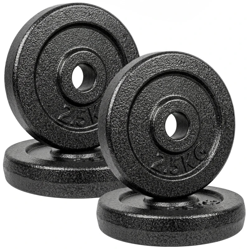 Pair of grey textured metal weight plates with center holes and 2.5 kg markings