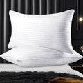 2-pack-luxury-hotel-pillows-hypoallergenic-hollowfibre-soft-medium-support-for-comfortable-sleep-by-olivia-rocco-white-75-x-50-cm-pillows-1155778586 - Bobobiy