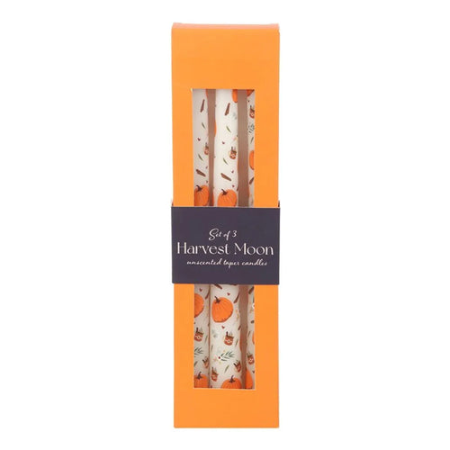 Set of 3 Pumpkin Taper Candles - Bobobiy