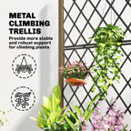 Metal climbing trellis on a raised planter, with flowering and leafy plants