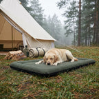 Green outdoor pet bed with a sleeping light-colored dog