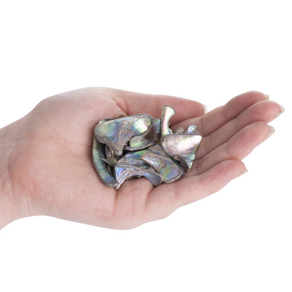 Abalone Shell Tumbled, Unsized, (sold singly)