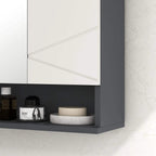 Light grey bathroom mirror cabinet interior shelf with toiletries and mirror door