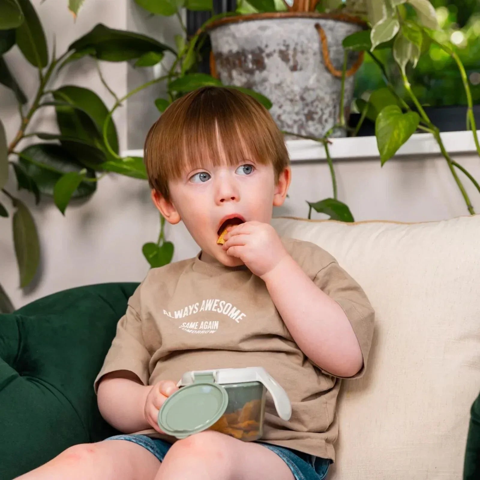 Vital Baby Nourish Snack On the Go - Natural Berry - Bobobiy