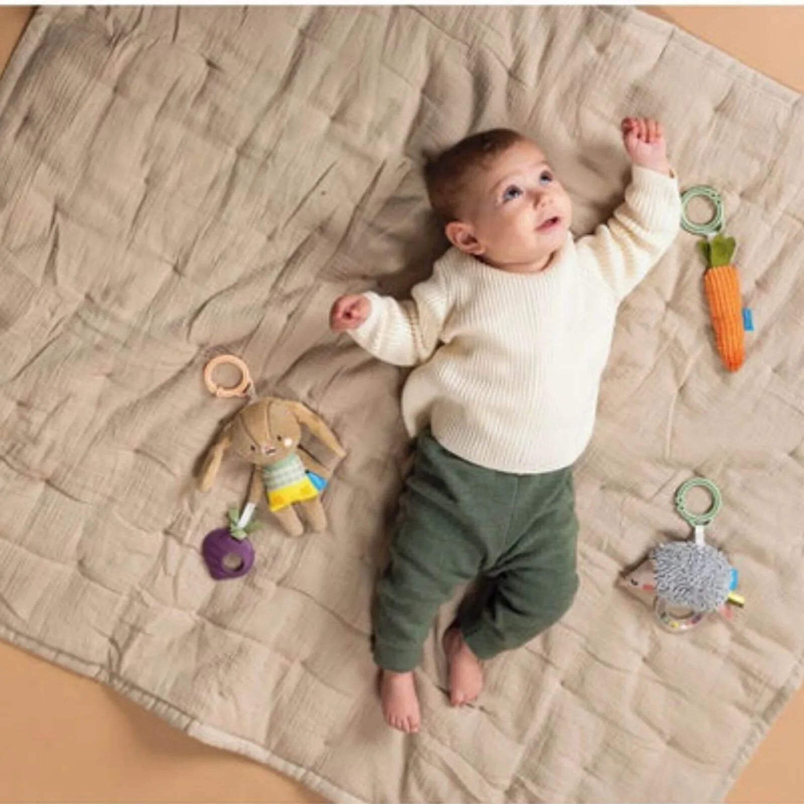 Taf Toys Activity Toys Kit