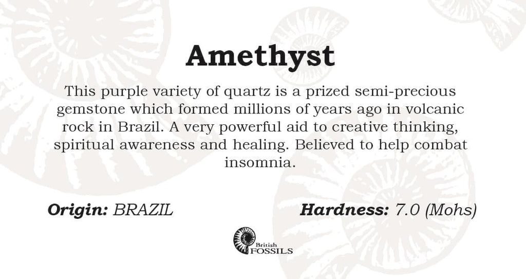 Amethyst Tumbled Semi-Precious Gemstone with Info Card