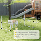 White dog agility obstacle set with adjustable jump hurdles on outdoor lawn