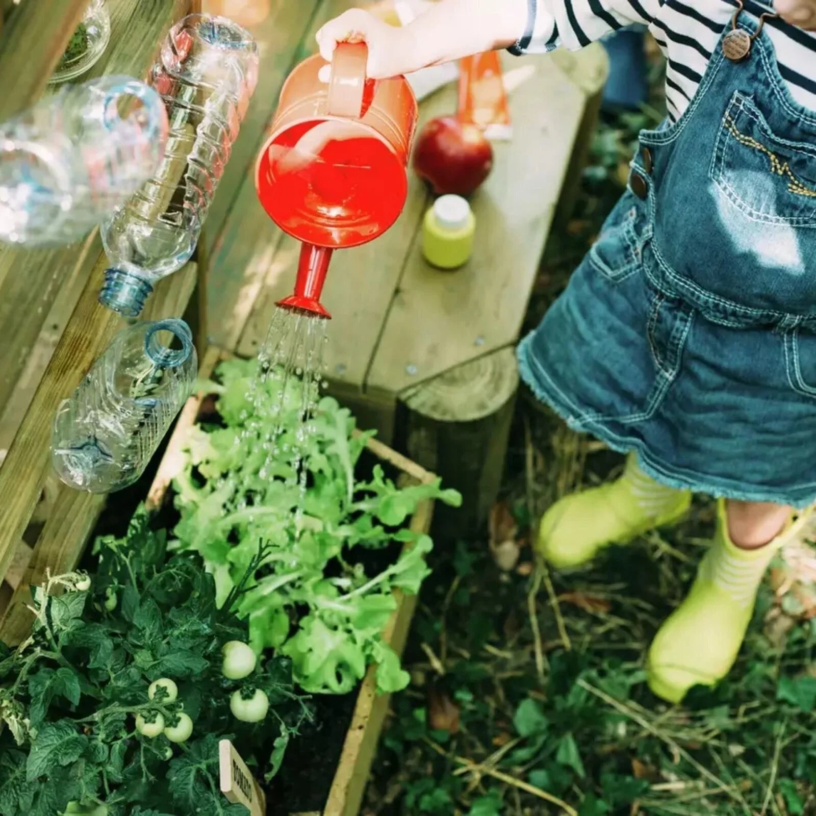 Plum Discovery Mud Pie Kitchen