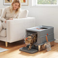 Dark grey enclosed cat litter box with lid and step, cat climbing and metal scoop nearby