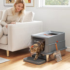 Dark grey enclosed cat litter box with lid and step, cat climbing and metal scoop nearby