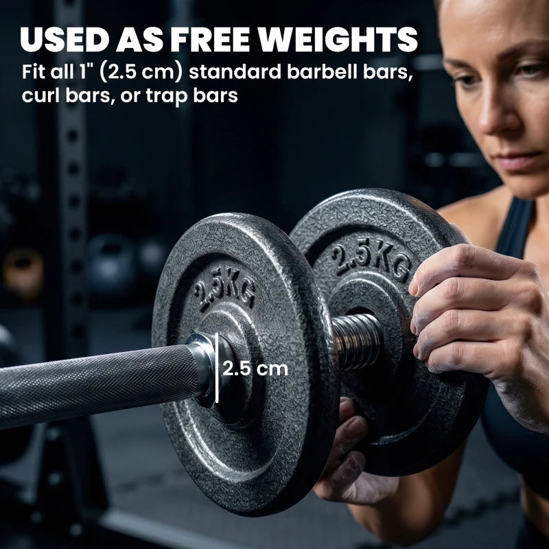 Grey 2.5 kg barbell plates on a standard bar, textured round discs