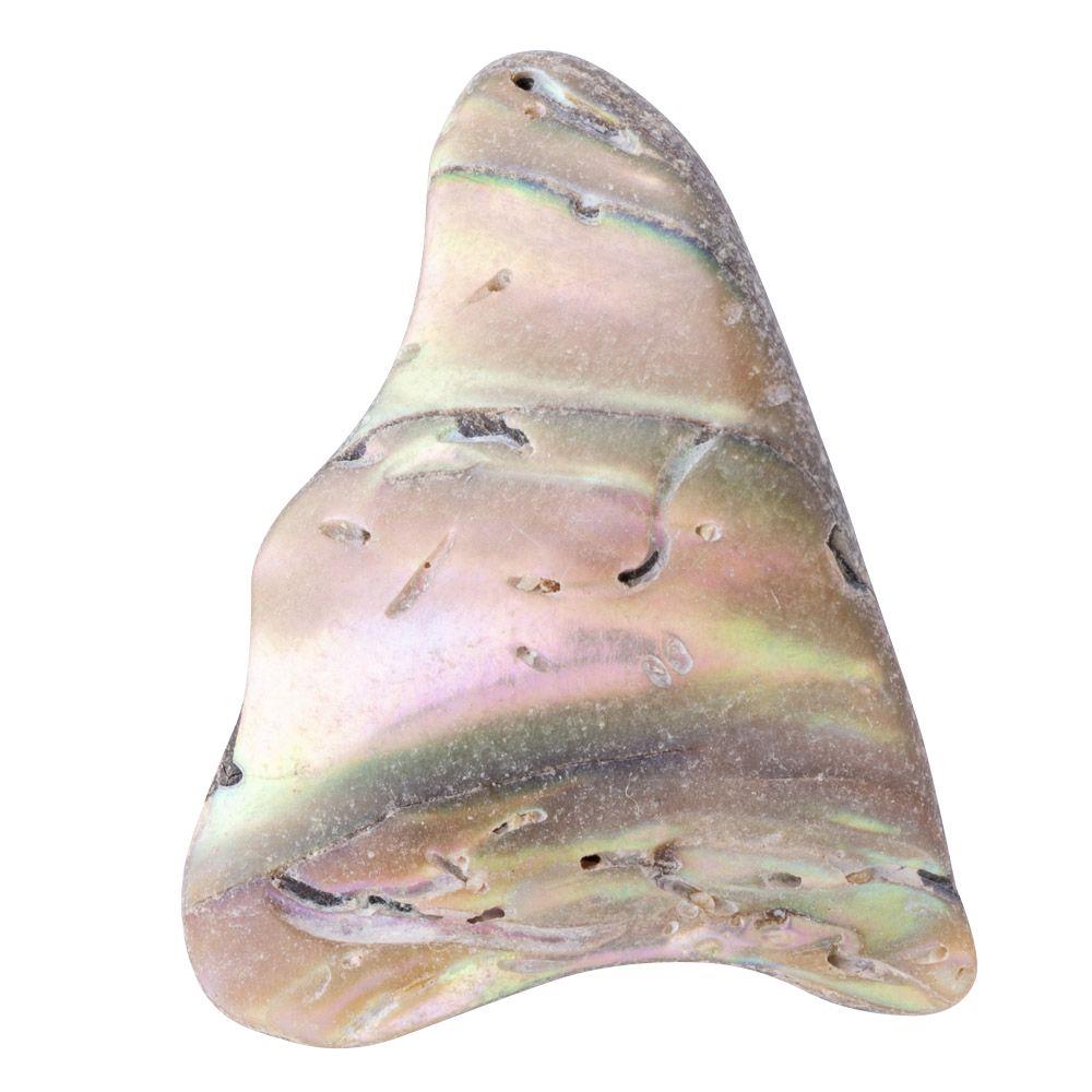Abalone Shell Tumbled, Unsized, (sold singly)