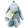 Disney Winnie The Pooh Eeyore Soft Toy