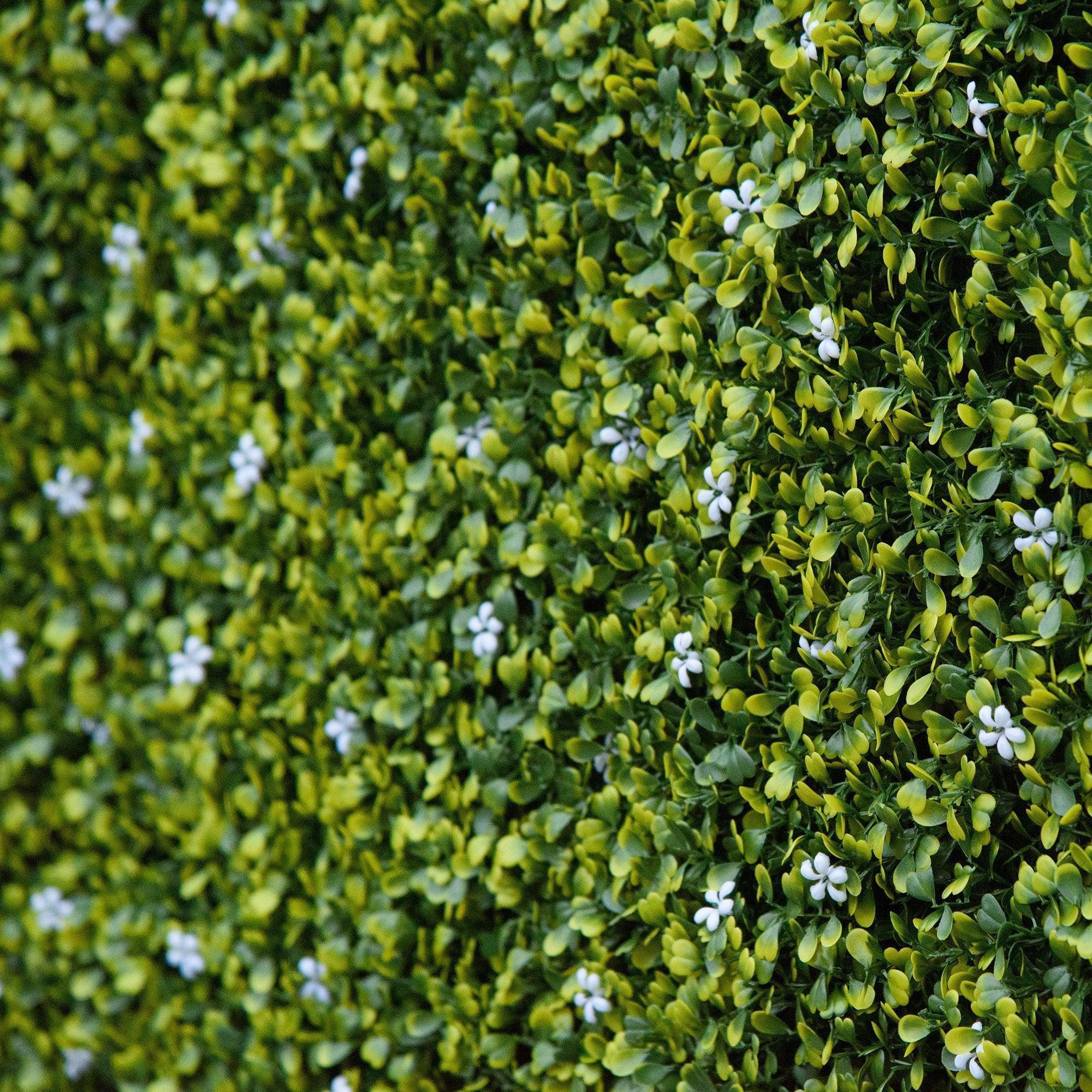 5ha4c819495550332 - Bobobiy