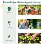 Planting and harvest graphic with fruits, flowers, and vegetables icons