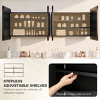 Black mirror cabinet interior with adjustable shelves and multiple storage compartments