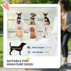 Black pet stroller for miniature dogs with mesh viewing window