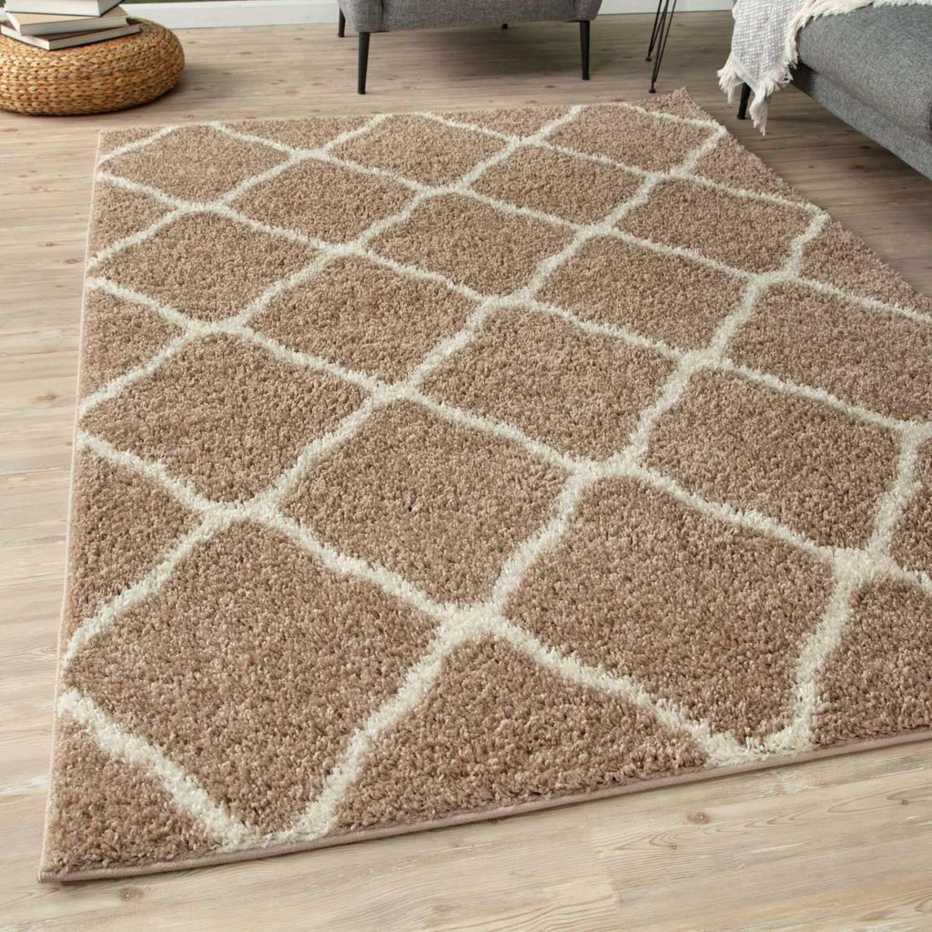 720_Moroccan_Beige_Shaggy_Rug-13 - Bobobiy