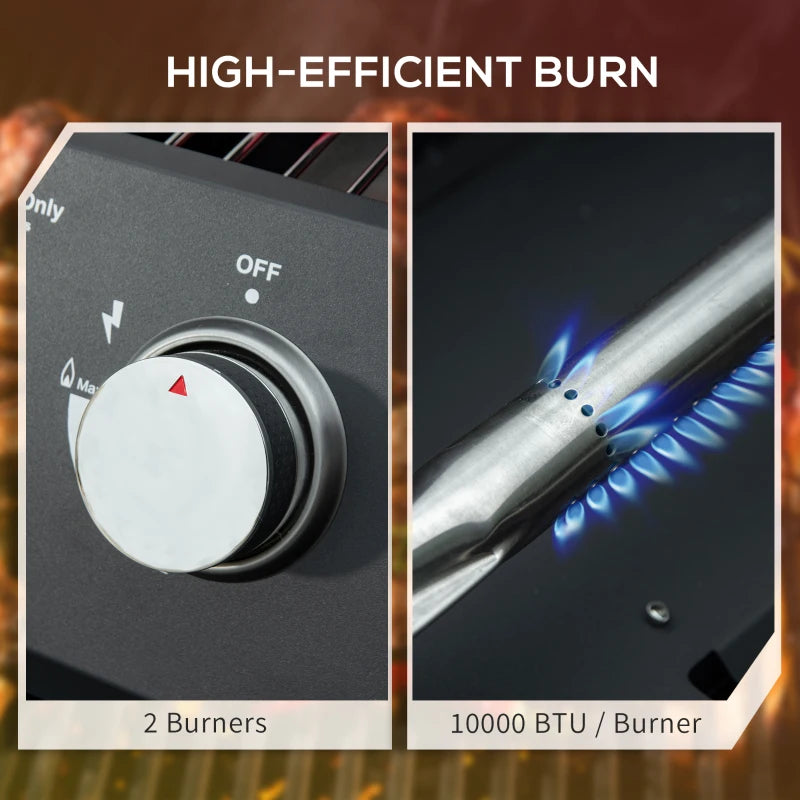 Black 2-burner gas grill with temperature control knob and blue flame burner ignition
