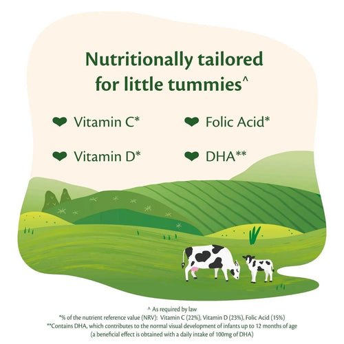 HiPP Organic 2 Follow on Baby Milk Formula from 6+ months 800g