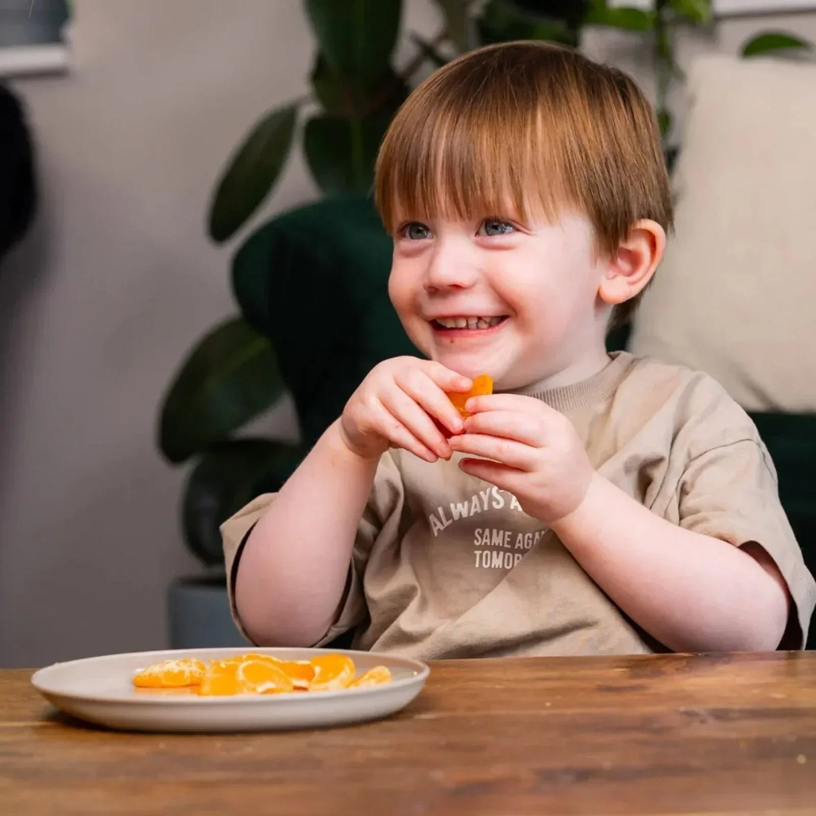 Vital Baby Nourish Perfectly Simple Plates Pack of 5 - Bobobiy