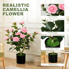 Pink camellia artificial plant with lush green leaves and pink blossoms in a black pot