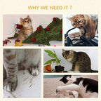 Grey plush cat tree promotional collage with cats resting and playing
