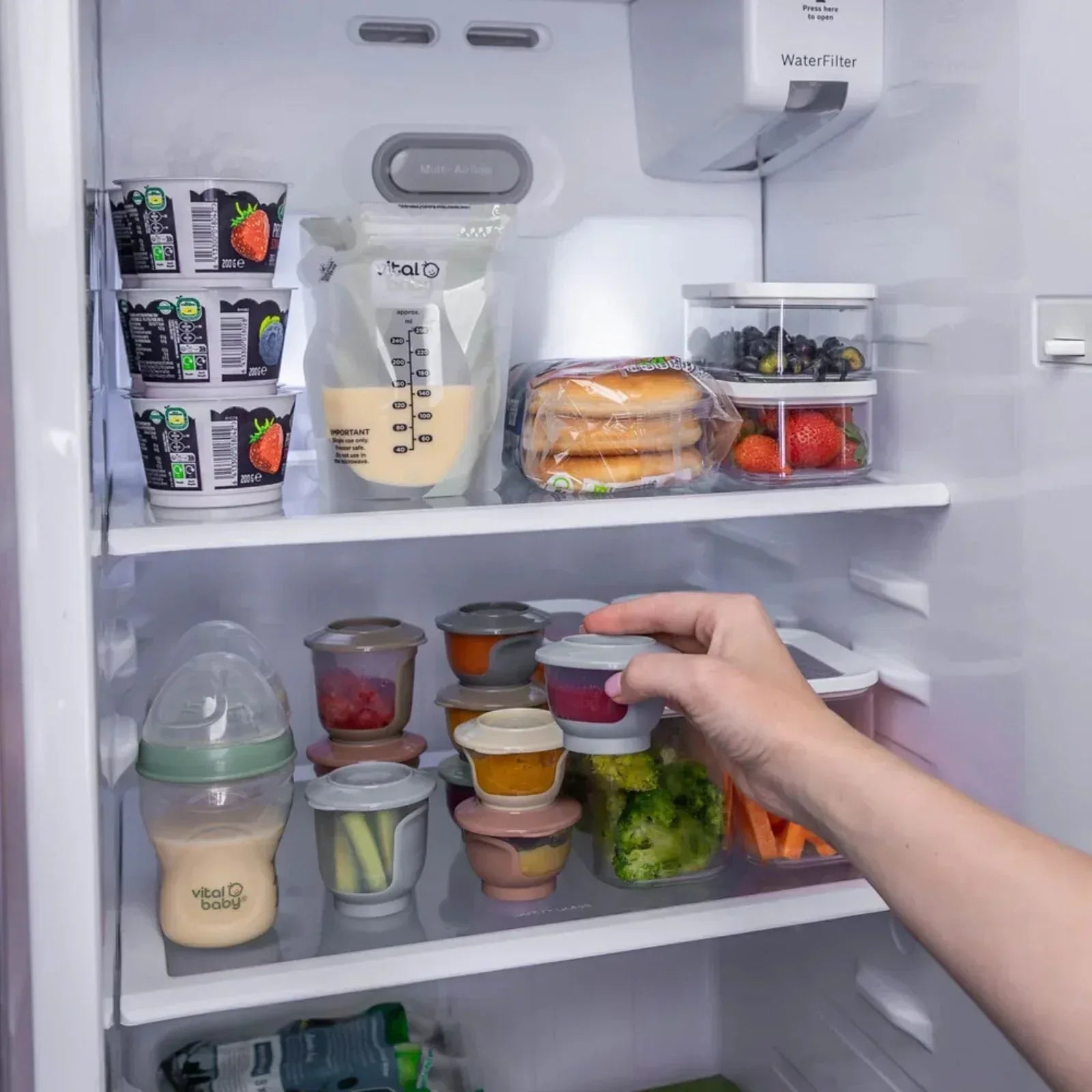 Vital Baby Nourish Store & Wean Pots 60ml Pack of 6 - Bobobiy