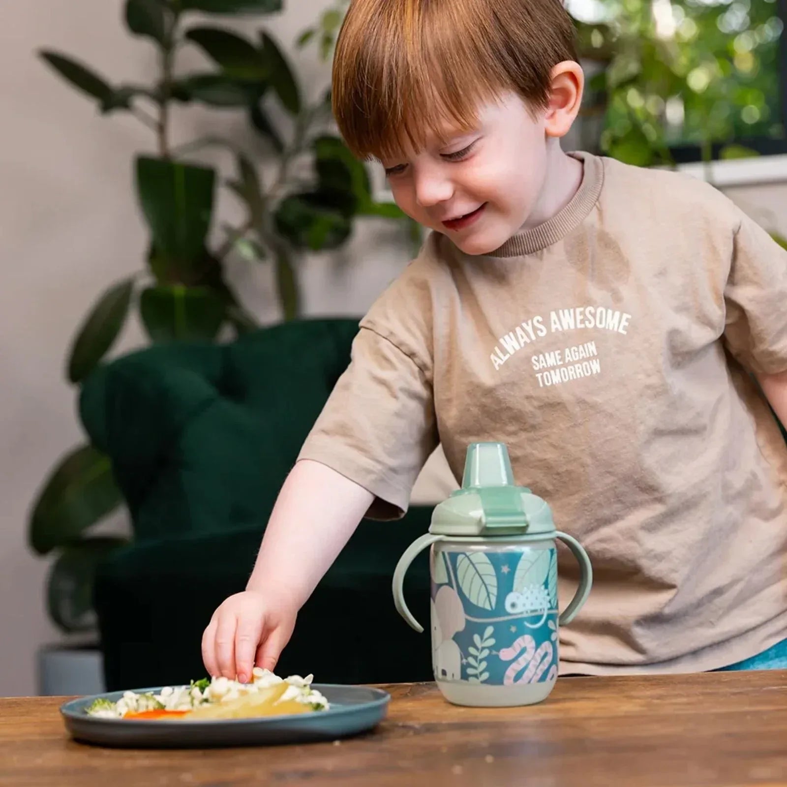 Vital Baby Nourish Perfectly Simple Plates Pack of 5 - Bobobiy