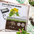 Dark grey steel raised planter boxes showing open-bottom drainage design
