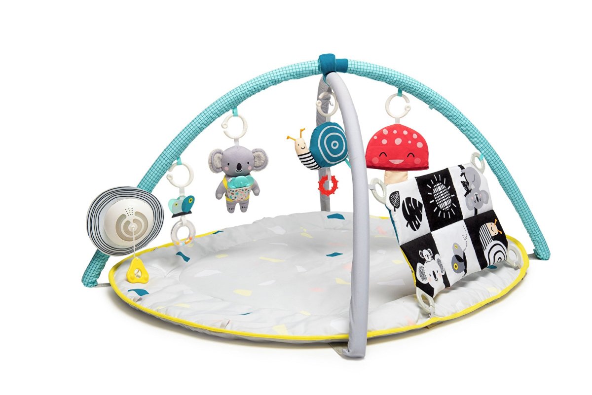 Taf Toys All Around Me Gym