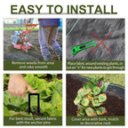 Black weed control fabric roll with installation shown around plants and covered with mulch