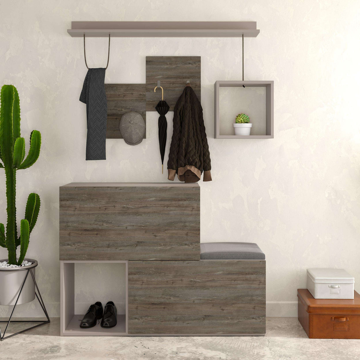 Dark coffee shoe cabinet with wall-mounted hooks and two-tier shoe shelves