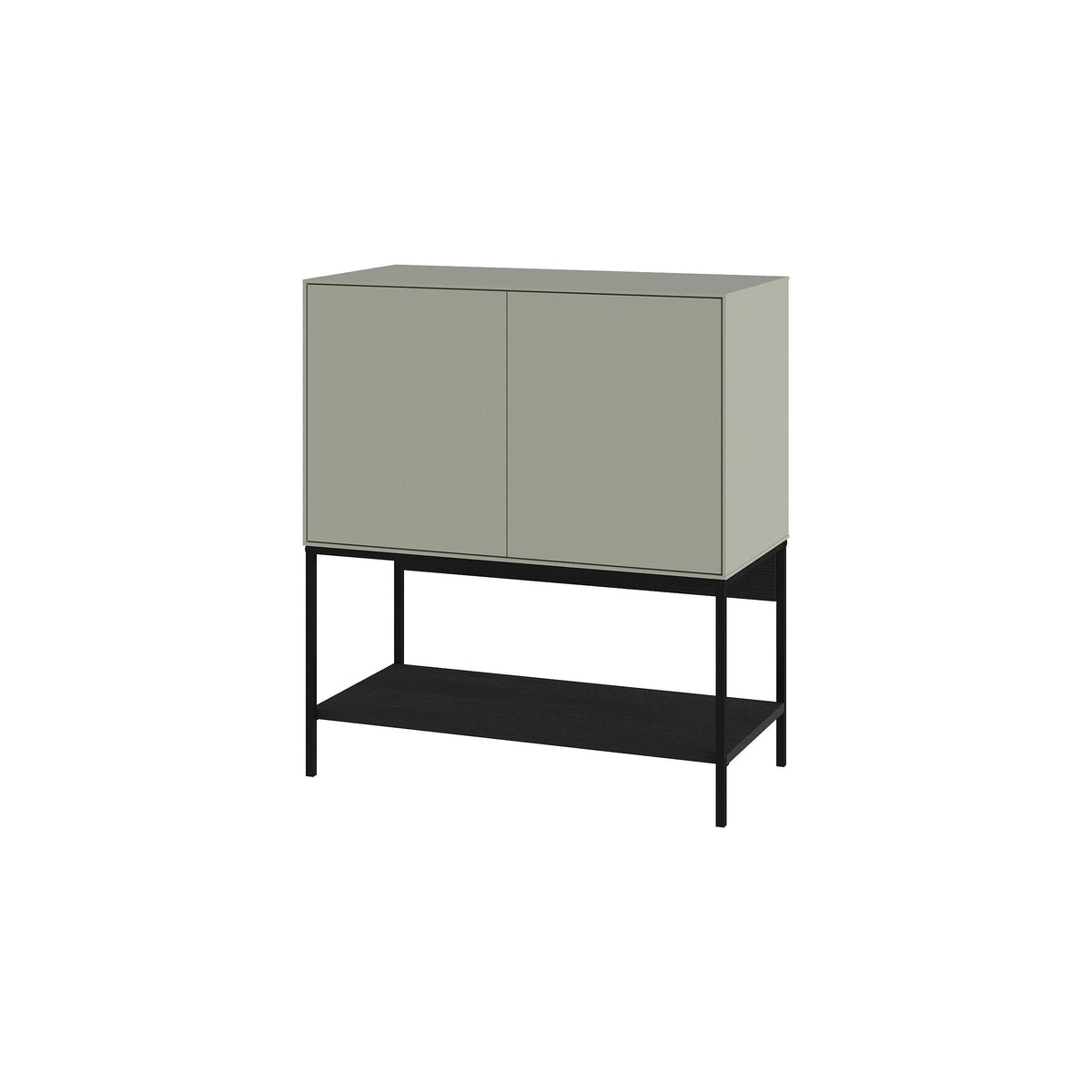 Sage green console table with two cabinet doors and black metal lower shelf