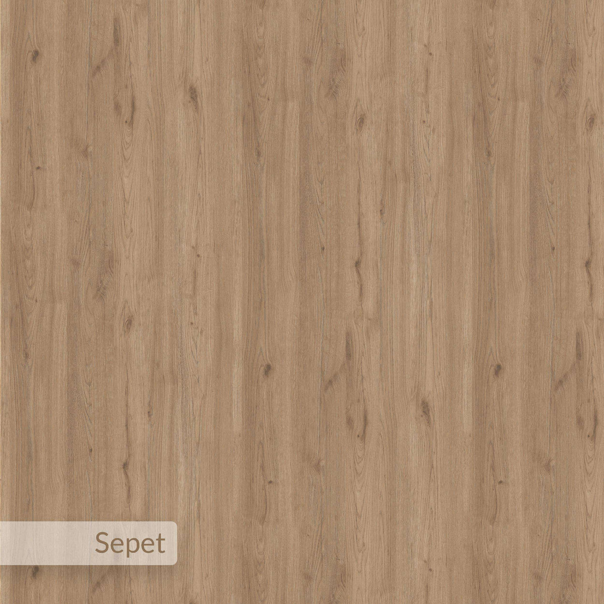 Light wood-grain panel close-up with smooth finish for TV stand surfaces