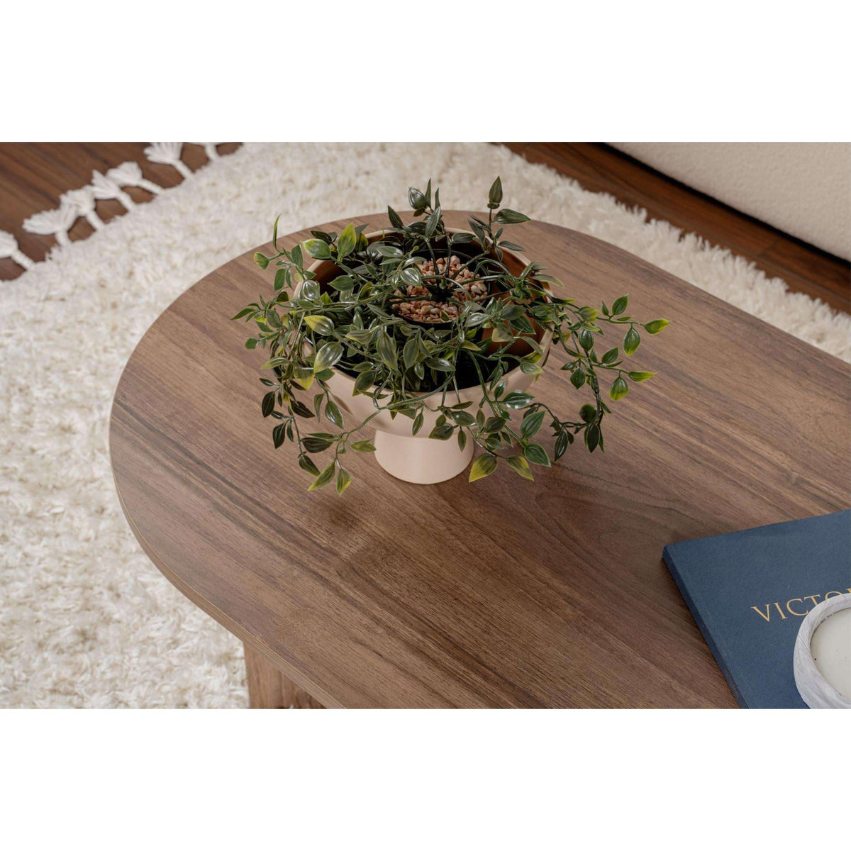 Oval walnut coffee table top close-up with plant and book on the surface