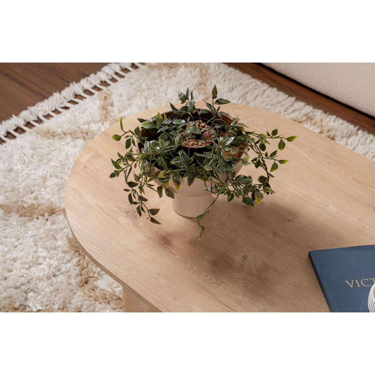 Sable oval coffee table 119 x 60 cm, light oak top viewed from above