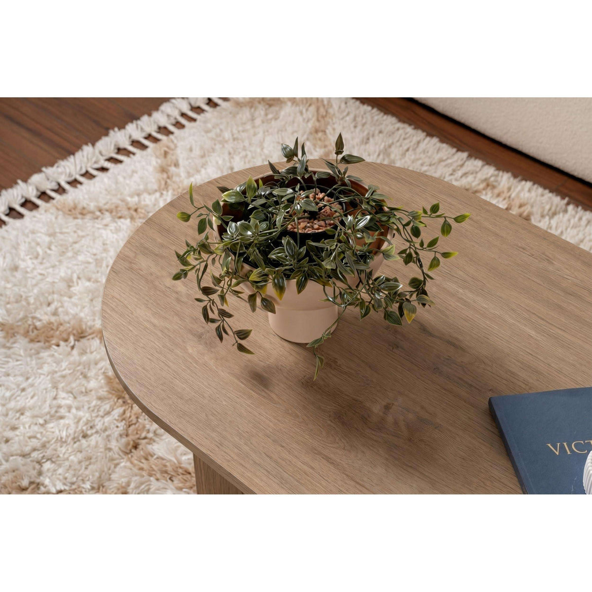 Oak oval coffee table tabletop close-up with smooth grain and rounded rim.