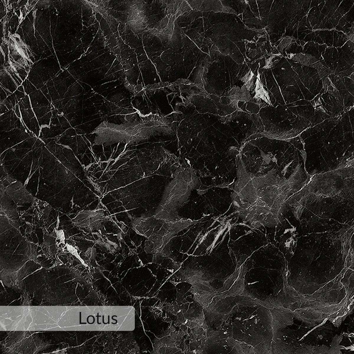 Lotus marble-look finish swatch in dark black with white veining